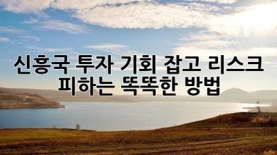신흥국 투자, 기회 잡고 리스크 피하는 똑똑한 방법 💰🚀